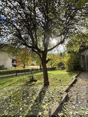 Vorderer Gartenbereich