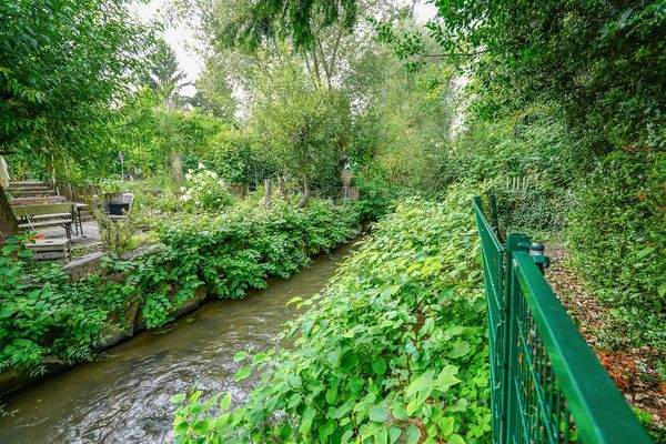 Die "Anger" am Grundstücksende