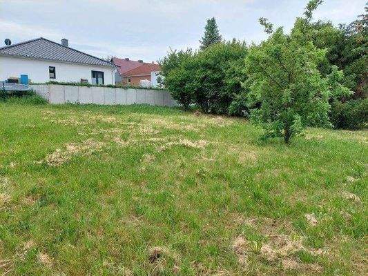 hinterer Grundstücksteil/Baugrundstück (3)