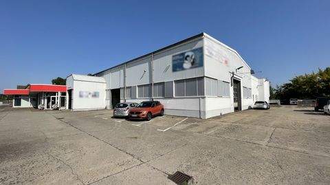 Niesky Halle, Niesky Hallenfläche