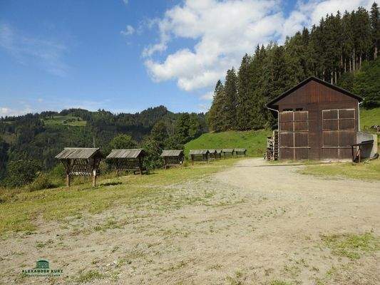 Pachtjagd in der Steiermark Immobilien-Kurz-Salzburg