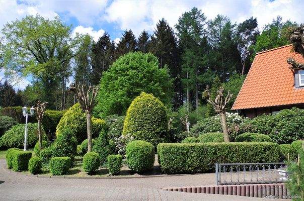 Das Pflanzbeet vor dem Haus