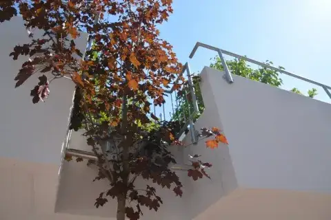 Althengstett Häuser, Althengstett Haus kaufen