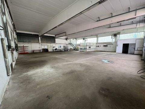 Altenstadt a.d.Waldnaab Halle, Altenstadt a.d.Waldnaab Hallenfläche