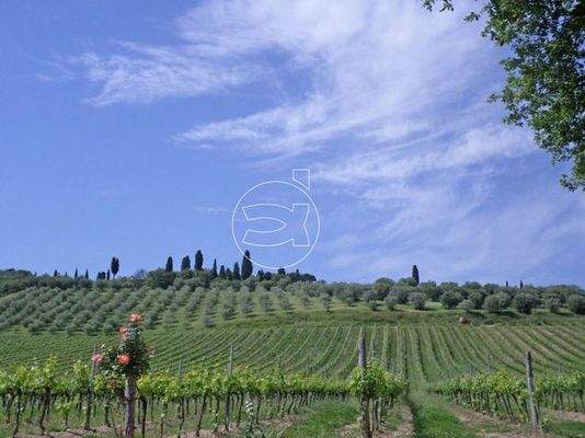 Haus in Torrita di Siena