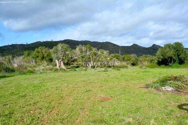 Blick über das Grundstück