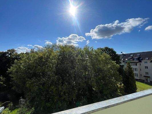 Doc Aug. 25, 2025, 12.39_04.jpg