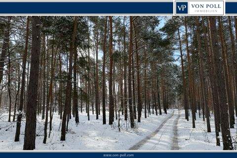 Zossen Bauernhöfe, Landwirtschaft, Zossen Forstwirtschaft