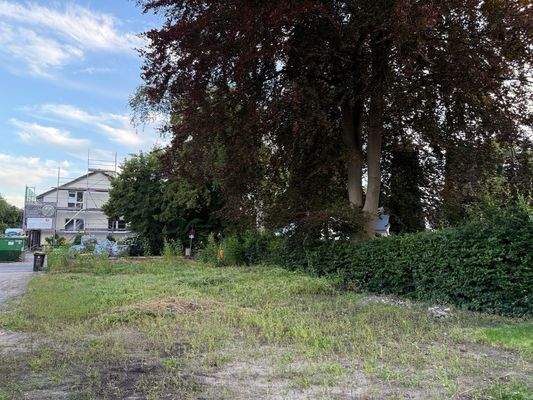 Ansicht Grundstück Richtung Straße