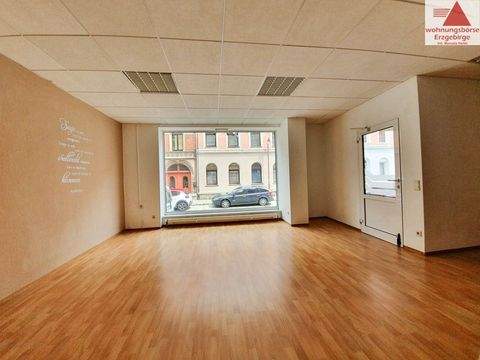 Aue-Bad Schlema Ladenlokale, Ladenflächen 