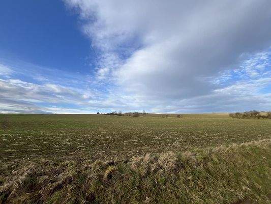 Landwirtschaftsfläche_1