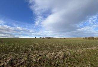 Landwirtschaftsfläche_1