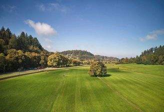 Wiehre-Günterstal: Für 4 sich einige Käufer, 4 Grü