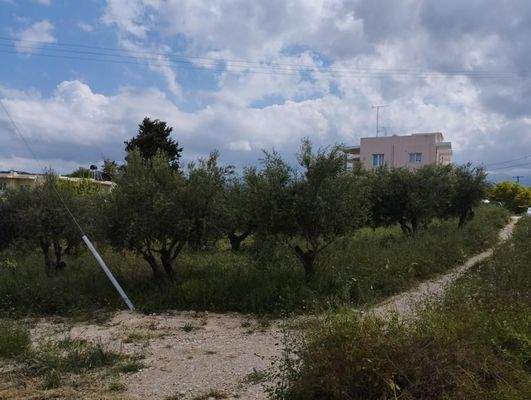 Kreta, Kalyves: Erstaunliches Grundstück im Zentrum von Kalyves zum Verkauf