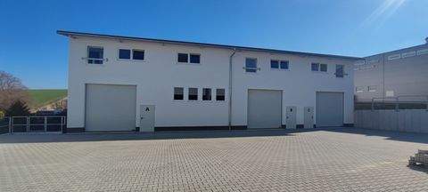 Otzberg Halle, Otzberg Hallenfläche