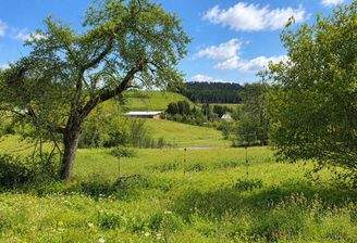 Blick nach Osten ins Grüne