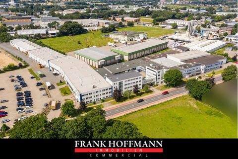 Kaltenkirchen Halle, Kaltenkirchen Hallenfläche