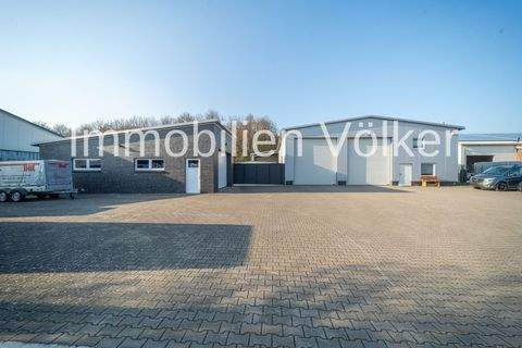 Vechta Halle, Vechta Hallenfläche