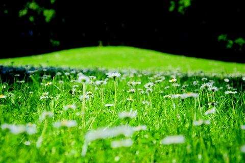 München Grundstücke, München Grundstück kaufen