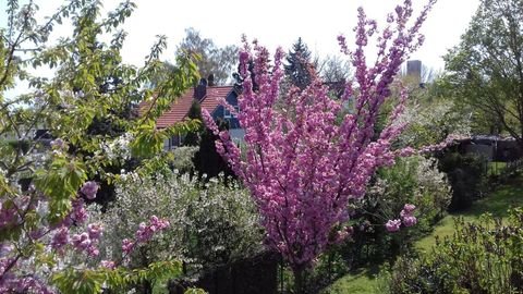 Bad Langensalza Wohnungen, Bad Langensalza Wohnung kaufen