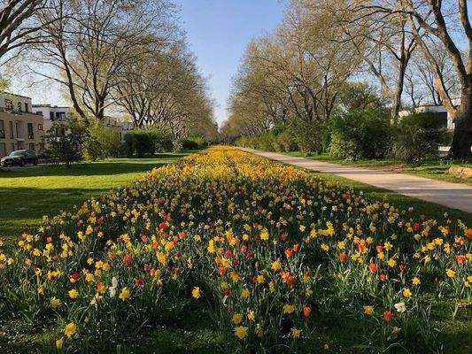 Impressionen der direkten Umgebung