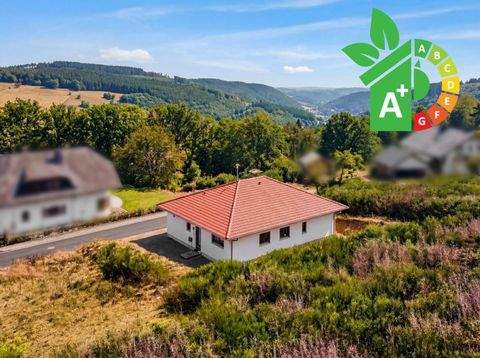 Idar-Oberstein Häuser, Idar-Oberstein Haus kaufen