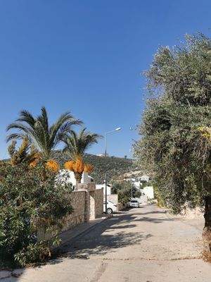 Straßenblick zum Haus