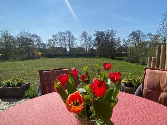 Blick von der Terrasse in den Garten