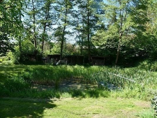 Grundstück: Teich mit Steg