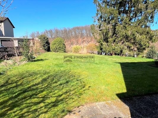 Blick in den Garten