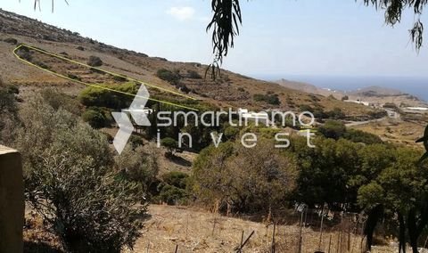Katakilos, Andros Bauernhöfe, Landwirtschaft, Katakilos, Andros Forstwirtschaft
