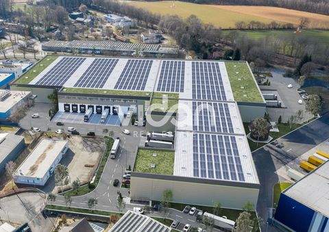 Rheine Halle, Rheine Hallenfläche