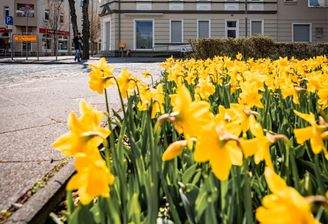 Frühling in Zeuthen