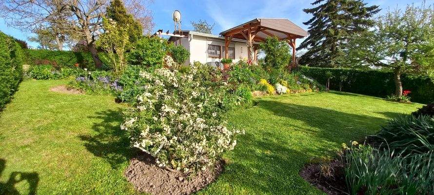 Gartenimpressionen des letzten Jahres (3).JPG