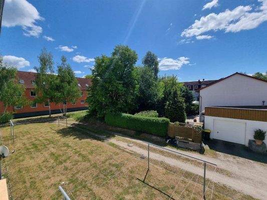 photo_11_2025-05-16_14-14-09