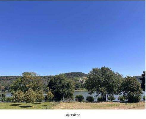 Aussicht auf den Rhein und das Schloss Arienfels.JPG