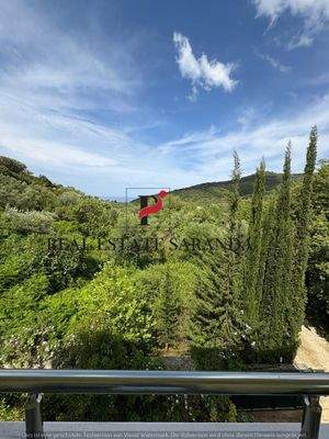 WhatsApp Image 2025-05-11 at 10.27.33-5.jpeg