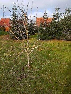 93d3e52049f3afb63ea42bbf474d6f