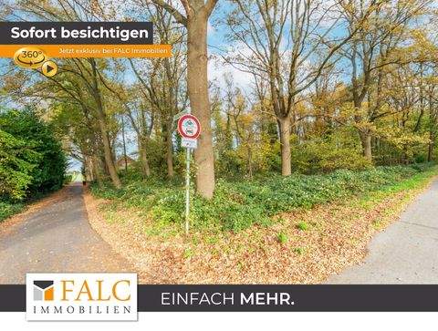 Brüggen Bauernhöfe, Landwirtschaft, Brüggen Forstwirtschaft