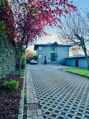 PHOTO-2025-05-22-13-20-33 2.jpg