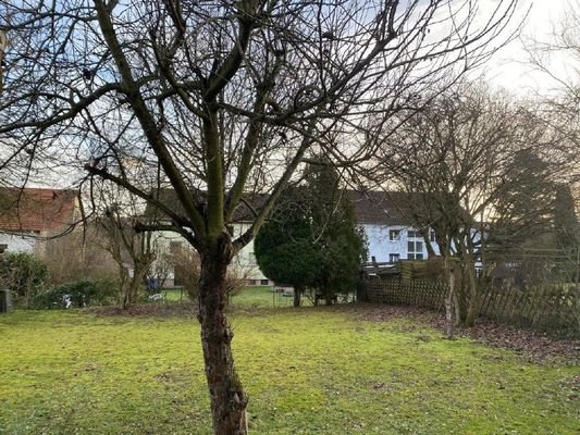Bild18