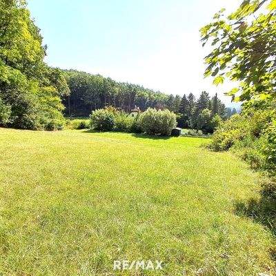 Grunstück - Blickrichtung Osten