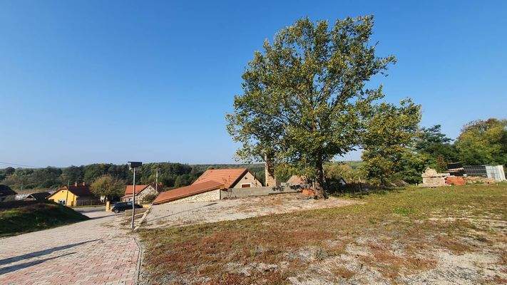 311350257_638882881172176_2701639693323665105_n.jp