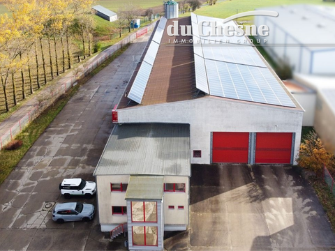 Großschirma Halle, Großschirma Hallenfläche