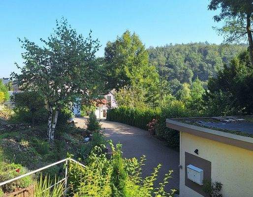 Vorgarten mit Bepflanzung