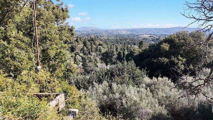 dji_fly_20250131_104306_0009_1738313130190_photo-C