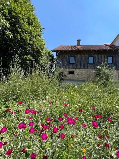 Wangen Häuser, Wangen Haus kaufen