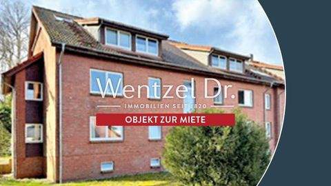 Plate / Consrade Wohnungen, Plate / Consrade Wohnung mieten