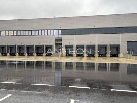 Ratingen Halle, Ratingen Hallenfläche