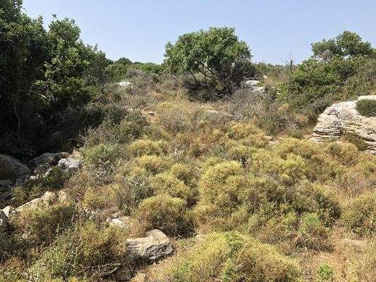 Kreta, Gerani: Erstklassiges Grundstück mit Meerblick nahe Rethymno zu verkaufen